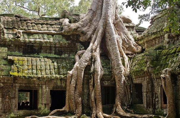 Később tovább megyünk az egyik leghíresebb templomba a Ta Phrom-ba. Ez a templom a feltárások során nem került teljes helyreállításra.