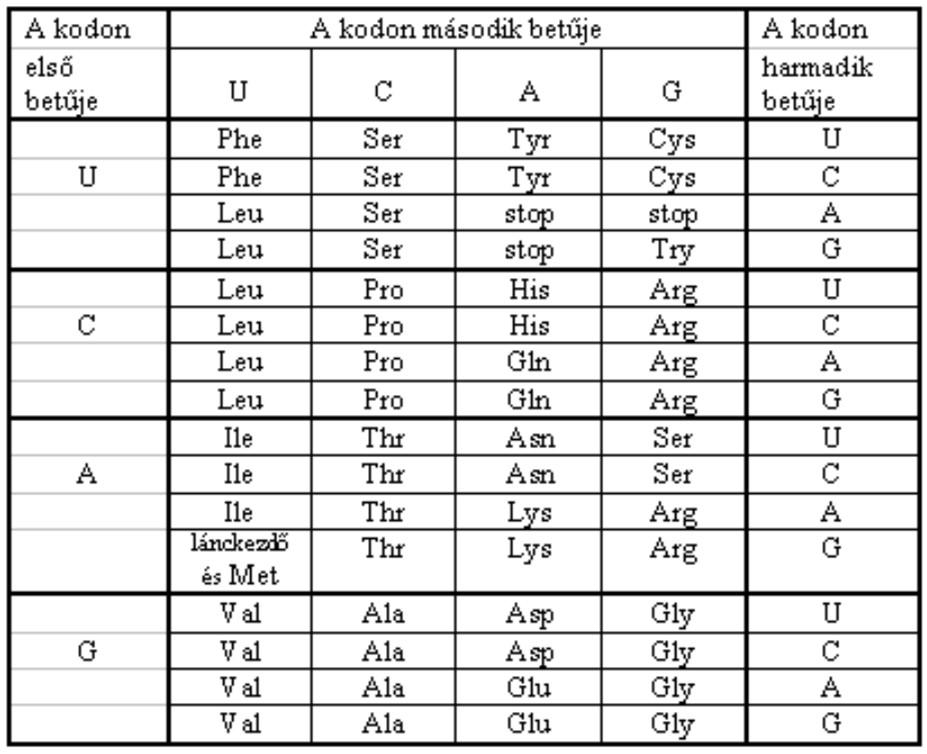 Gyakorló emelt szintű érettségi feladatok A fehérjék különbségének vizsgálata Egy faj két populációjából azonos fehérje mintát vettek.