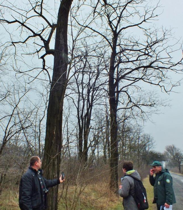 E két szakterülettel történő együttműködésünket nehezíti, hogy az országos jelentőségű természetvédelmi és a NATURA 2000 hálózatba egyaránt tartozó területeink