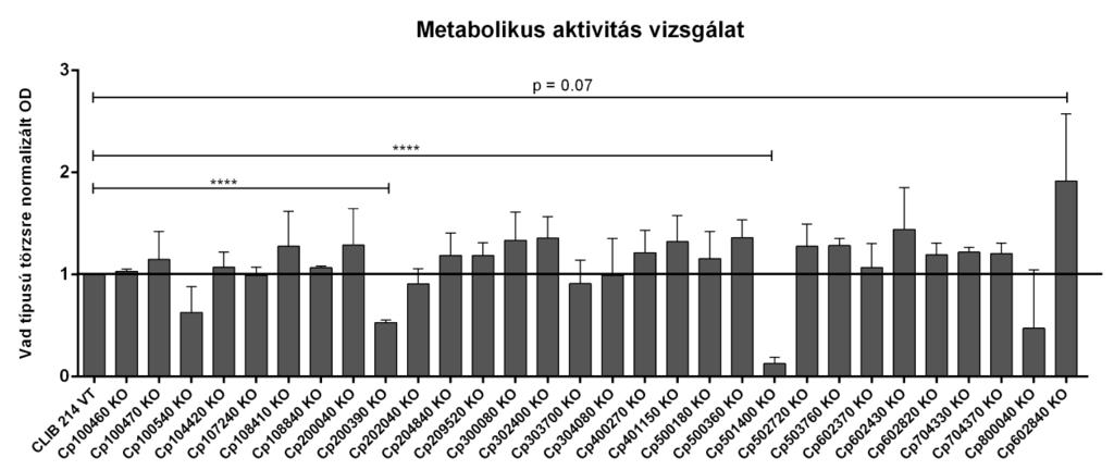 Kísérleteink során a képzett biofilm metabolikus aktivitását, ezzel együtt annak összetettségét/kompaktságát vizsgáltuk MTT metabolikus teszt alkalmazásával (Pires és mtsi., 2011; Rene és mtsi.