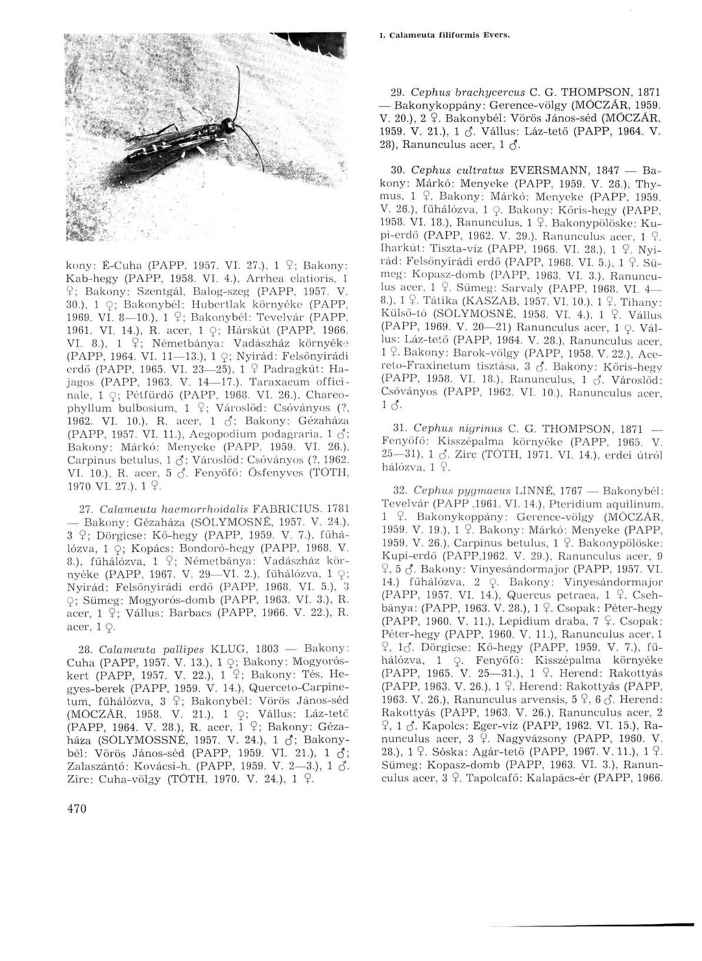 1. Calameuta filiformis Evers. 29. Cephus brachycercus С G. THOMPSON, 1871 Bakonykoppány: Gerence-völgy (MÓCZÁR, 1959. V. 20.), 2 9. Bakonybél: Vörös János-séd (MÓCZÁR, 1959. V. 21.), 1 <$.