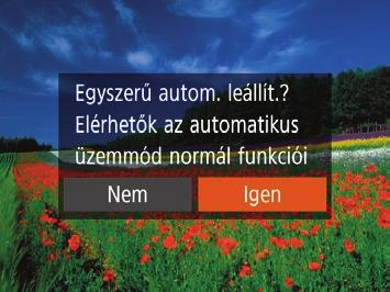 A kijelző felső és alsó szélén megjelenített fekete sávok a nem rögzített képterületeket jelzik.