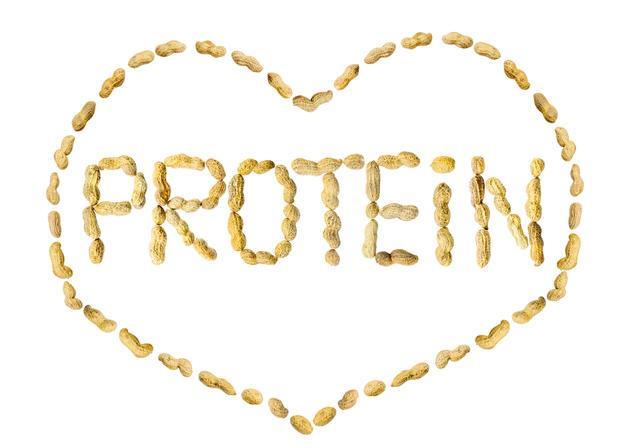 Számos egészségre vonatkozó állítás van engedélyezve (432/2012/EU rendelet) Fehérje Fehérje A fehérje hozzájárul az izomtömeg növekedéséhez. A fehérje hozzájárul az izomtömeg fenntartásához.