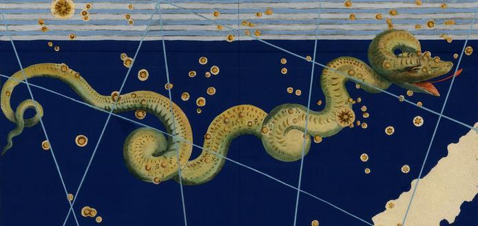 Északi Vízikígyó Latin: Hydra birtokos: Hydrae rövidítés: Hya Méretbeli