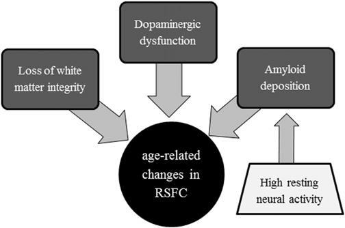 DYSCONNECTION HYPOTHESIS OF HEALTHY AGING (SULLIVAN, 2001) L.K. Ferreira, G.F. Busatto: Restingstate functional connectivity in normal brain aging.