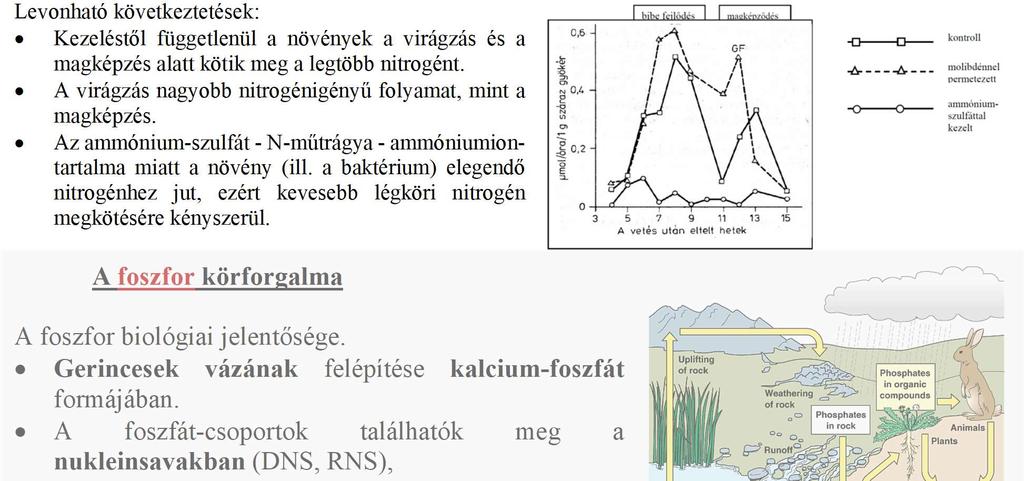 Levonható következtetések: Kezeléstől függetlenül a növények a virágzás és a magképzés alatt kötik meg a legtöbb nitrogént. A virágzás nagyobb nitrogénigényű folyamat, mint a magképzés.