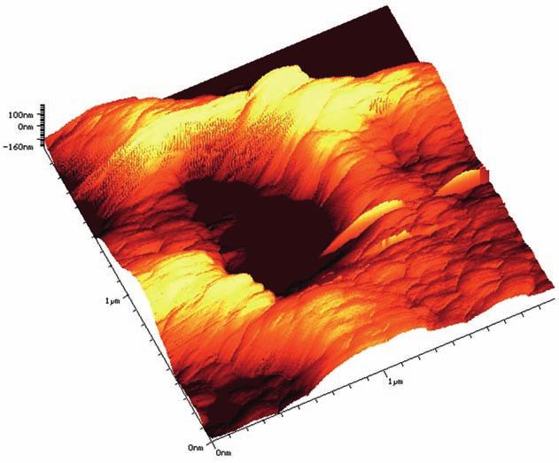 ábra: Egy endotheliális csatorna atomerő mikroszkópos mélységi adatai és felülnézeti képe, 1 1 μm-es felületen A csatornáról a mélységi