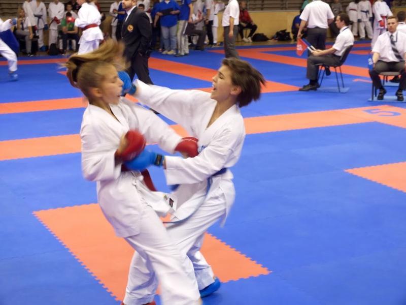 A karate az egyike azon sportoknak, amelyben az elmélet is nagyon fontos. Például, hogy a tanárt Sensei-nek, a segédtanárokat pedig Senpai-nak hívjuk.