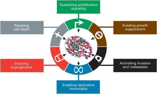 Douglas Hanahan, Robert?A. Weinberg Figure?1 The Hallmarks of Cancer This illustration encompasses the six hallmark capabilities originally proposed in our 2000 perspective.