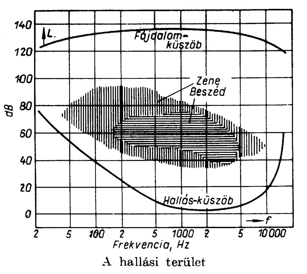 1. Hallástulajdonságok 3 alaphártya kitérése a legerősebb (120 db) hallható hangok esetén kb 1µm.