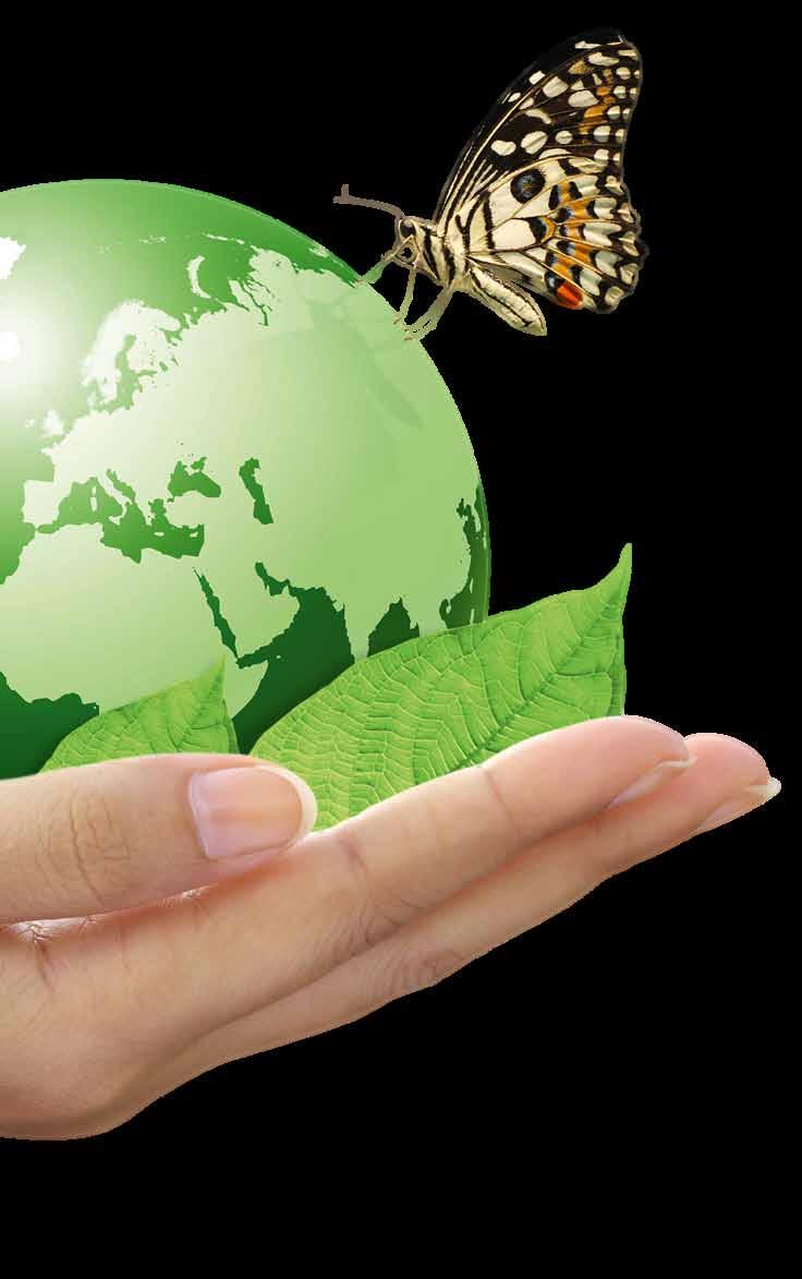 5 Középpontban a jövő Fenntarthatóság és újrahasznosíthatóság Az OWA álmennyezeti lapok biológiailag lebomló keverékekből állnak, amit természetes forrásokból és újrahasznosított anyagokból vontak ki