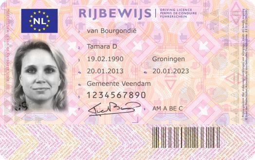 Vezetői engedély (Rijbewijs)