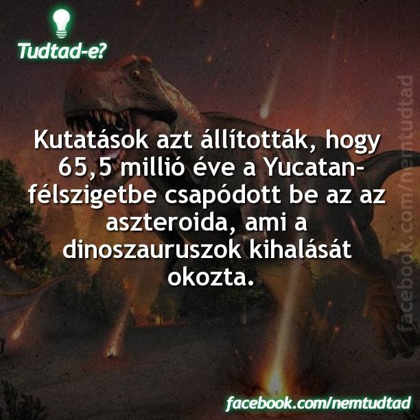 A heurisztikák