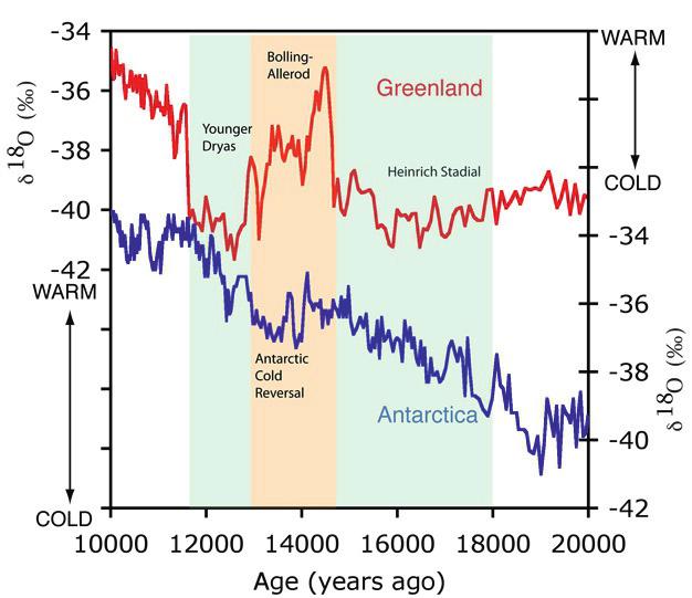 dc_116_15 sőglaciálisnak megfelelő időszakban egyetlen jelentős lehűlés mutatkozik a déli sark közelében, az antarktiszi hideg reverzális (Antarctic Cold Reversal: ACR) 142 13 évek közt (Lowe és