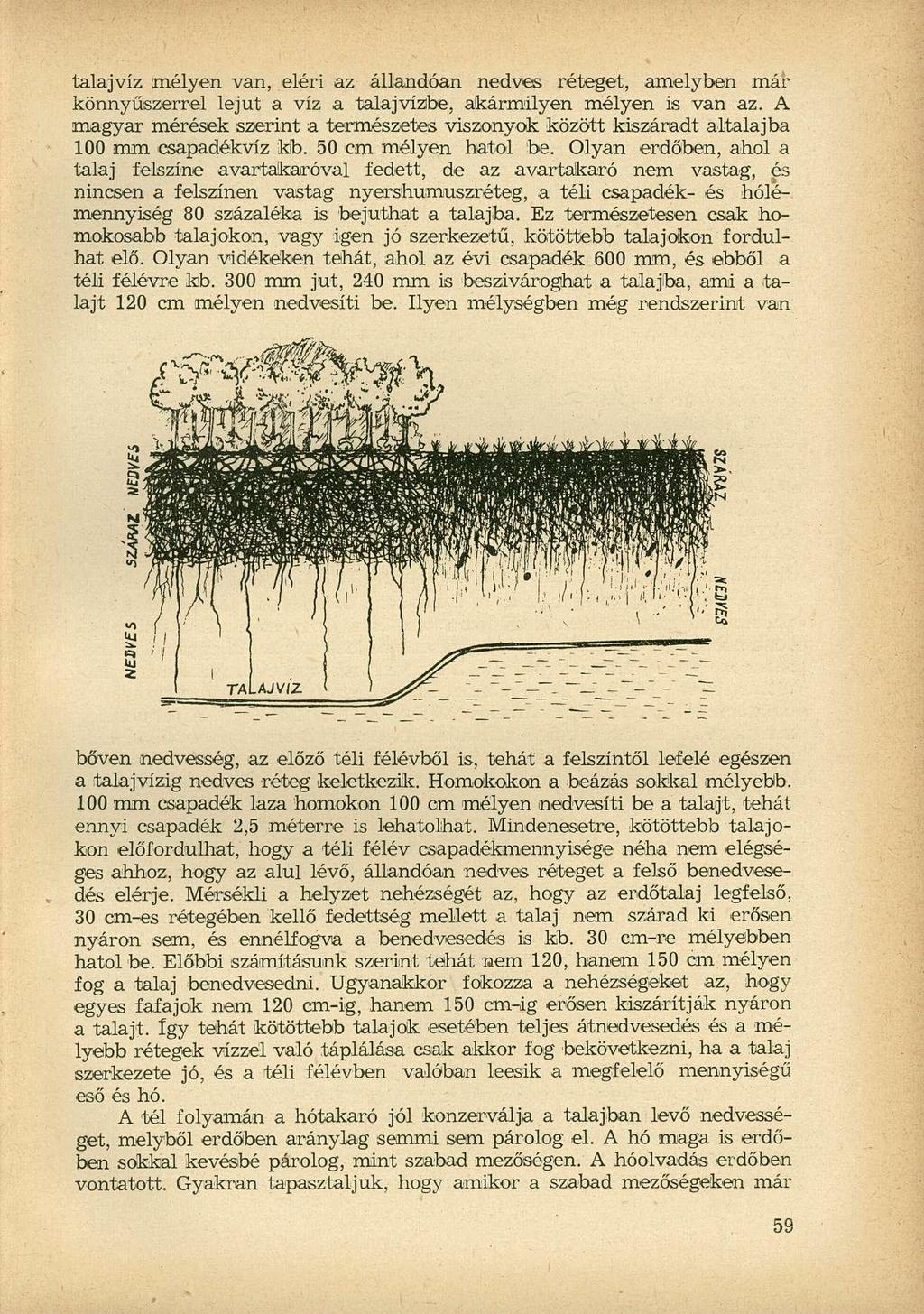 talajvíz mélyen van, eléri az állandóan nedve réteget, amelyben már könnyűzerrel lejut a víz a talajvízibe, akármilyen mélyen i van az.