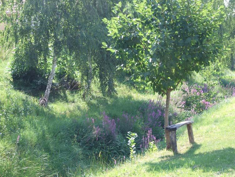 FALUSIAS LAKÓTERÜLET FALUSIAS LAKÓTERÜLET Zöldterületek Izmény utcaképe elválaszthatatlan a zöldterületektől, mivel a települést