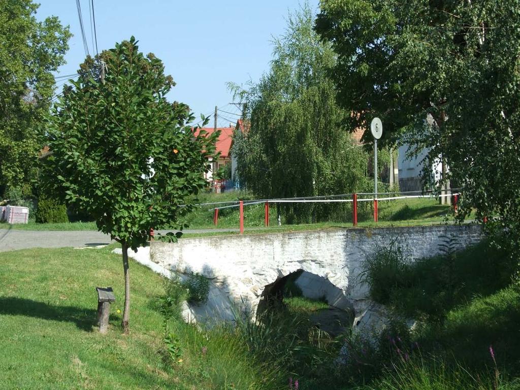 Izmény főutcája kétoldalról öleli át ezt a zéles zöldterületi sávot, melyen több híd is átvezet.