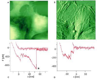 Nanolitográfia Lithos: k,