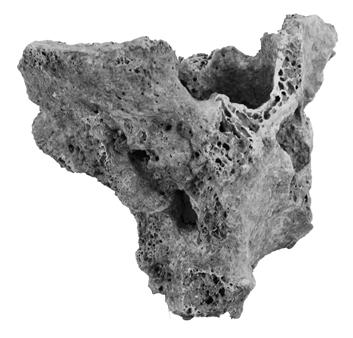 A 745. objektumba temetett, nem meghatározható nemű adultus-maturus korú egyén töredékes állapotú 8 9.