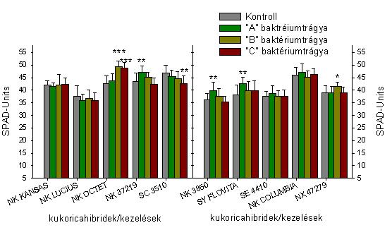 11. ábra: a Syngenta kukorica hibridek második levélben mért relatív klorofill érték