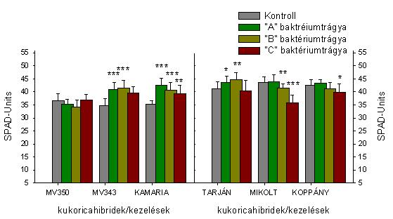 14. ábra: A Martonvásári nemesítőházból származó kukorica hibridek harmadik levélben mért relatív klorofill érték (SPAD-Units) n=60±s.d. Szignifikáns különbség a kontrollhoz viszonyítva: *p<0,05; **p<0,01; ***p<0,001 5.