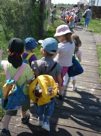 Kirándulások, Zöld ovi tábor Kirándulások szervezése, mellyel kitekinthetnek a gyermekek a környező természeti és épített környezetbe.