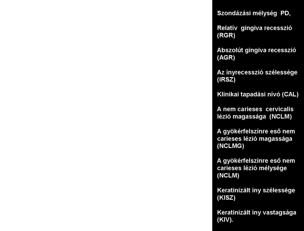 tasakbázis távolsága; a klinikai tapadási nívó (CAL); a keratinizált íny szélessége (KISZ) az ínyszél és a mukogingivális junkció távolsága; az NCCL koronális és apikális széle közötti távolság