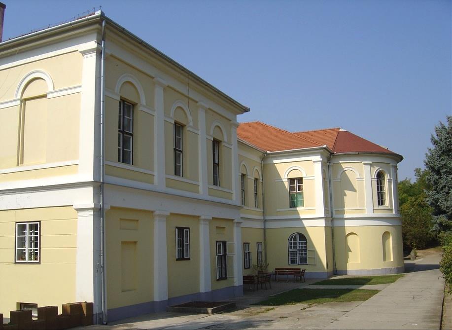 44 A templomok felől érkező Rákóczi út csatlakozástól mindkét oldalon beépített, széles utcává alakul a Dózsa