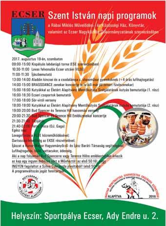 Cserfa Segítség 2017. augusztus 11.l 9 Villámcsapások Ecseren Az idei nyár villámokban gazdag volt eddig és ez még eltarthat egy darabig.