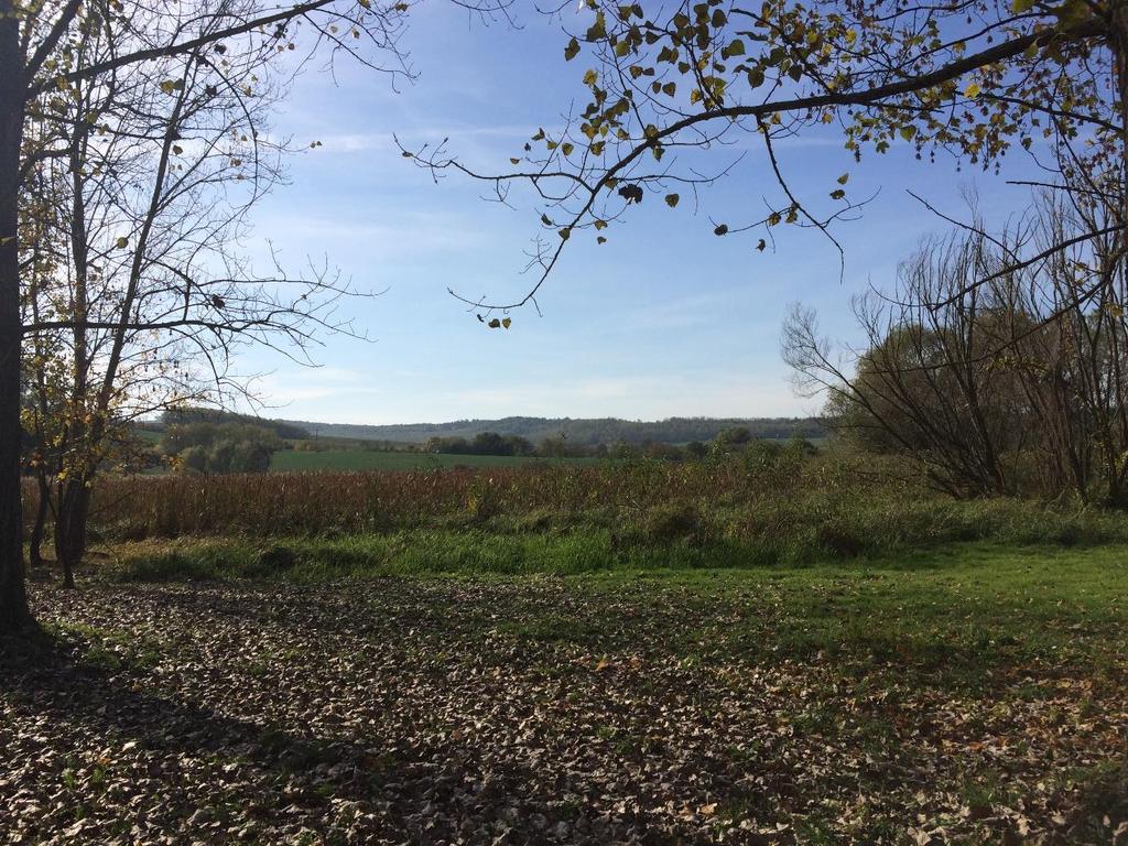 Országos és helyi jelentőségű természetvédelmi terület, valamint Natura2000 terület nem található Alsómocsoládon.