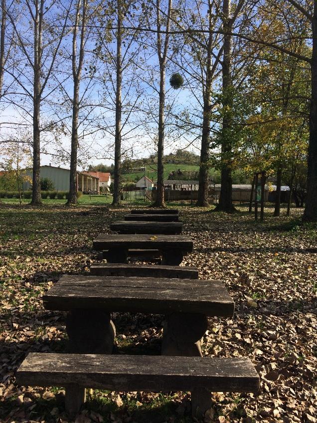A milleniumi emlékpark és a kastélypark elhelyezkedésükből adódóan kissé elkülönülnek a település többi zöldfelületétől, a belterület kapujában azonban fontos szerep jut nekik.