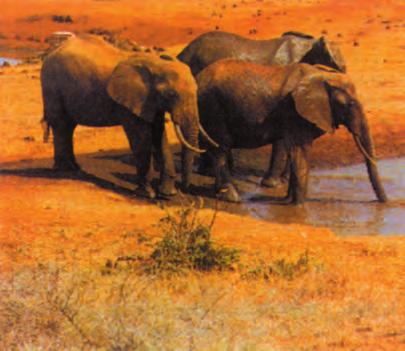 1. Az állatkertben 3 elefánt lakott. A gyerekek nagy örömére az elefántházba beköltöztettek még 2 elefántot.