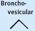 Bronchovezikuláris, bronchiális and tracheális légzési hangok proximális légutakban létrejövő turbulens