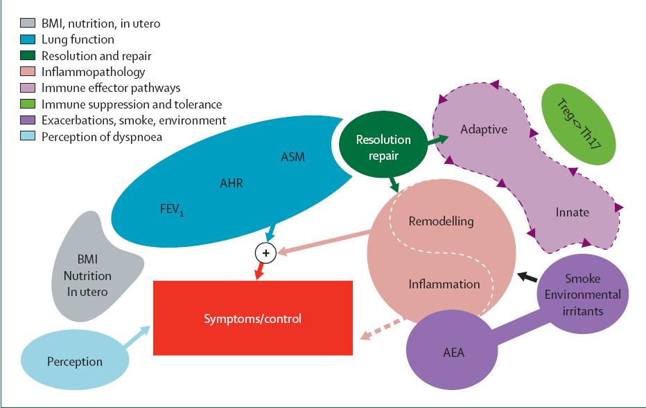 Endotípus (endofenotípus)