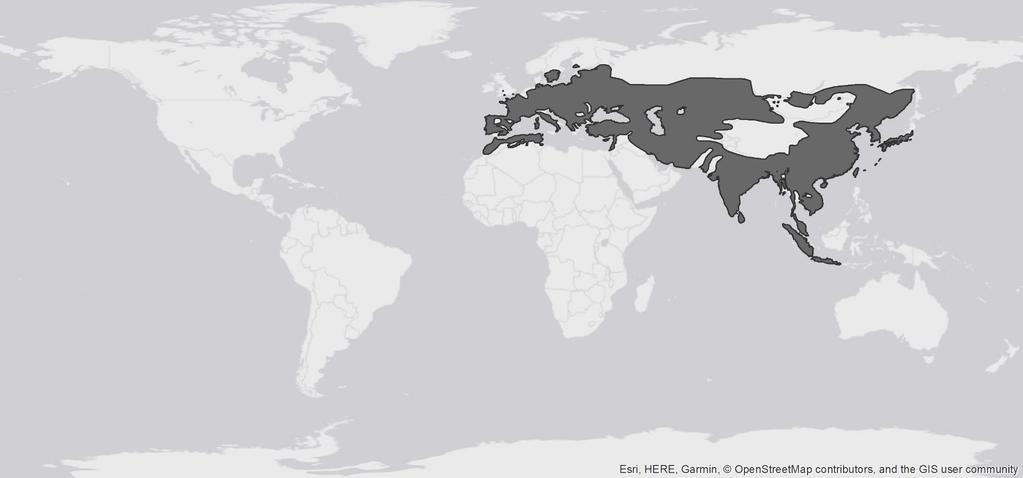 Elterjedési terület Vaddisznó IUCN 2012.