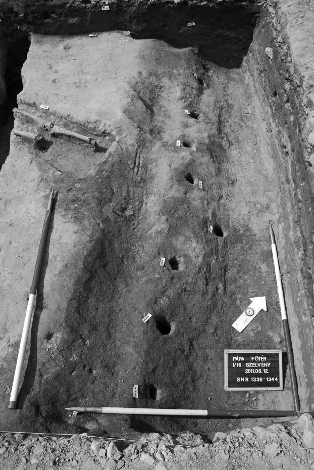 Wheel ruts in the surfacing covering the Árpádian Age occupation level, Location II (photo: Maxim Mordovin) 5