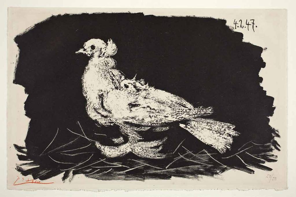 White Pigeon on Black Background, Pablo Picasso, 1947. Lithograph.