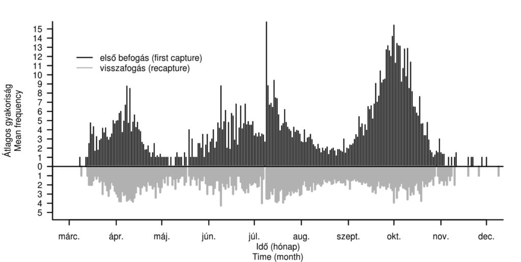 Csörgő Tibor Harnos Andrea 55 1. ábra Átlagos fogási és visszafogási gyakoriságok. Figure 1. Mean daily frequency of trapped and retrapped individuals.