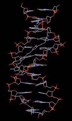 A biológiai makromolekulák HATALMAS molekulák