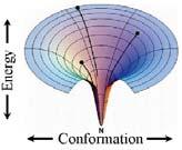 Natív szerkezet (N) Legalacsonyabb energia Konformációs tér: gombolyodási tölcsér ( folding funnel ) Energia Konformáció Pathológia