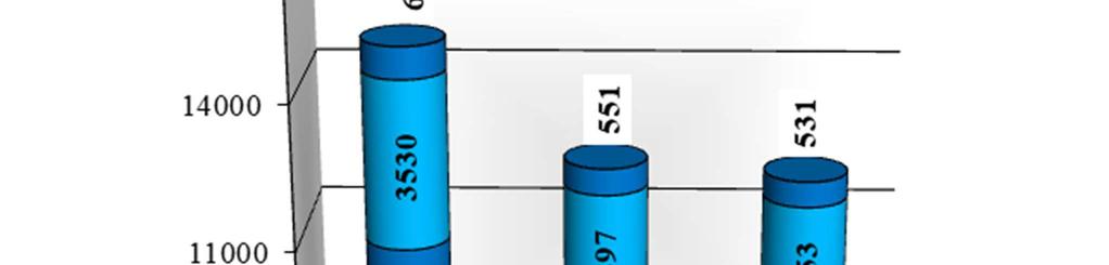 Nemek szerinti megoszlásban Baja és Bácsalmás járásban a legmagasabb (egyaránt 50,4%) a férfiak aránya, míg a nők esetében Kiskunmajsa és Kunszentmiklós áll az első helyen, egyaránt 59,7%-kal.