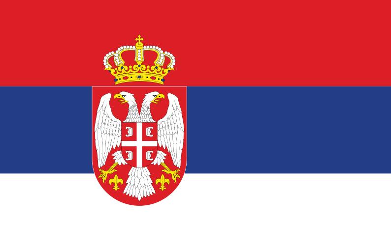 Szerbia példája Az Ombudsmani Hivatal az NPM, de a kis létszámú személyi állomány igénybe veszi 9 civil szervezet szaktudását az egészségügyi