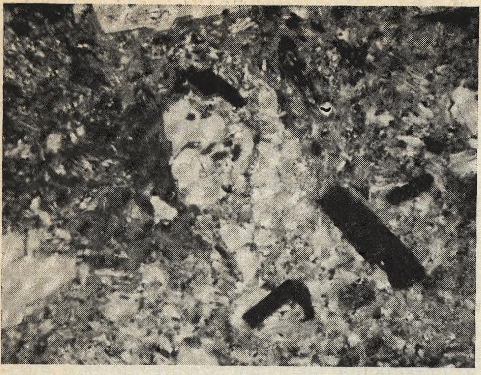 A heterogén műemléktípus példája a legelőször E kőzetek közül csak a sárszentmiklósi riolittufa bányahelye, valamint az egyik homokkő budafai eredete tekinthető tisztázottnak.
