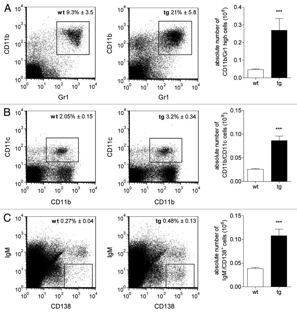 2011LandesBioscience. Donotdistribute. Figure 5. Differences were observed between the spleen cell populations of tg and wt mice after immunization as revealed by FACS analysis.