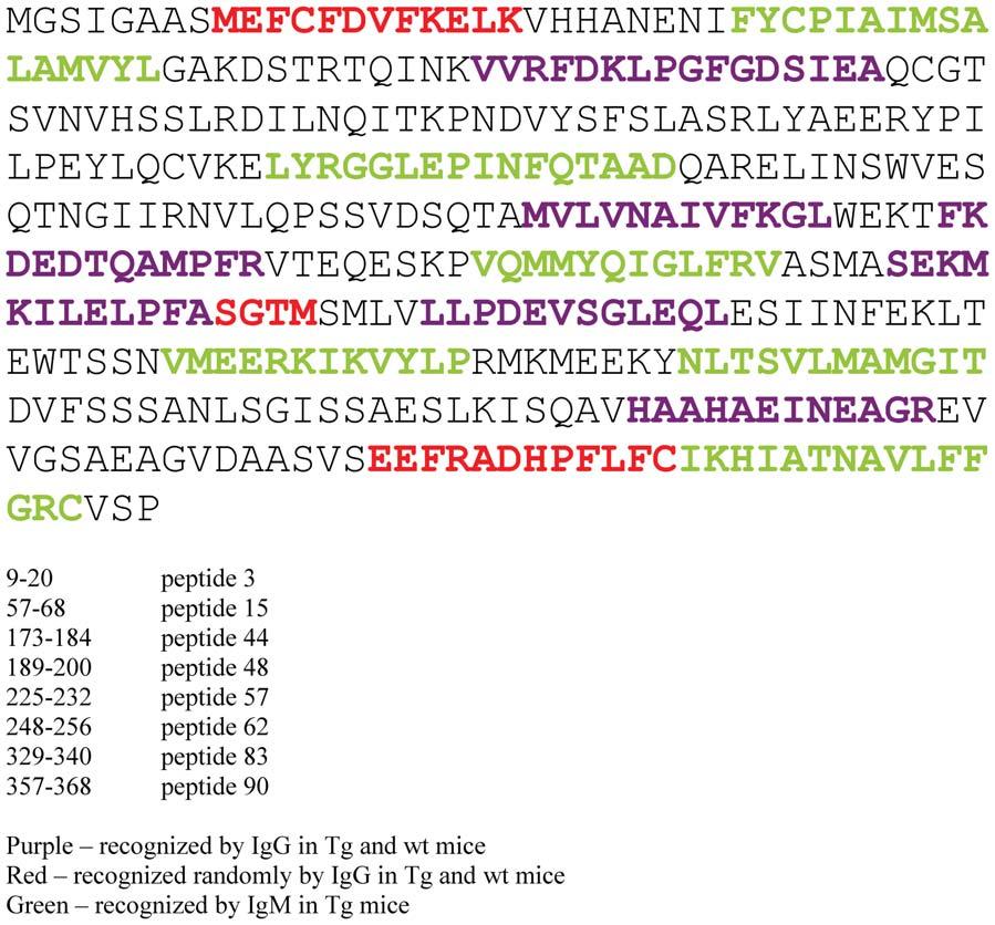 APC Activity and Ab Diversity in bfcrn Tg Mice Figure 7. Amino acid sequence of OVA; epitopes recognized by IgG and IgM of bfcrn Tg and wt mice.