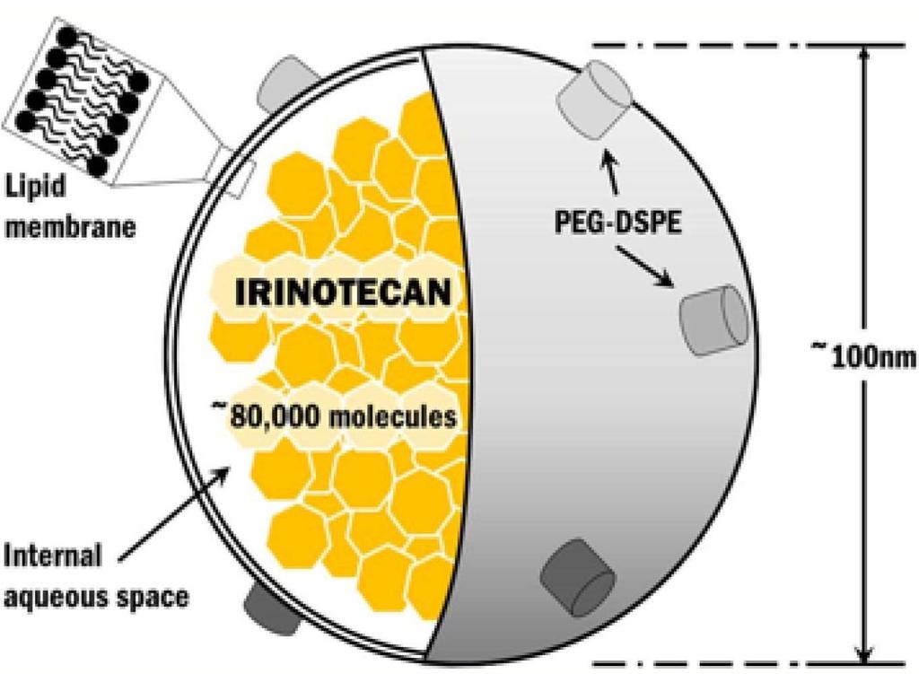 Nanoliposomalis Irinotecan Nal-IRI injection is a novel encapsulation of irinotecan in a long-circulating liposome The half-life (T 1/2 ) of total irinotecan following administration of nal-iri 70