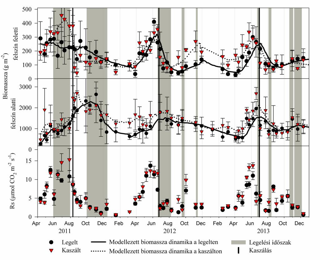 20. ábra: A felszín feletti, illetve a felszín alatti mért és polinomiális regresszióval modellezett biomassza és a talajlégzés (Rs) éves változása a legelt és a kaszált területen.