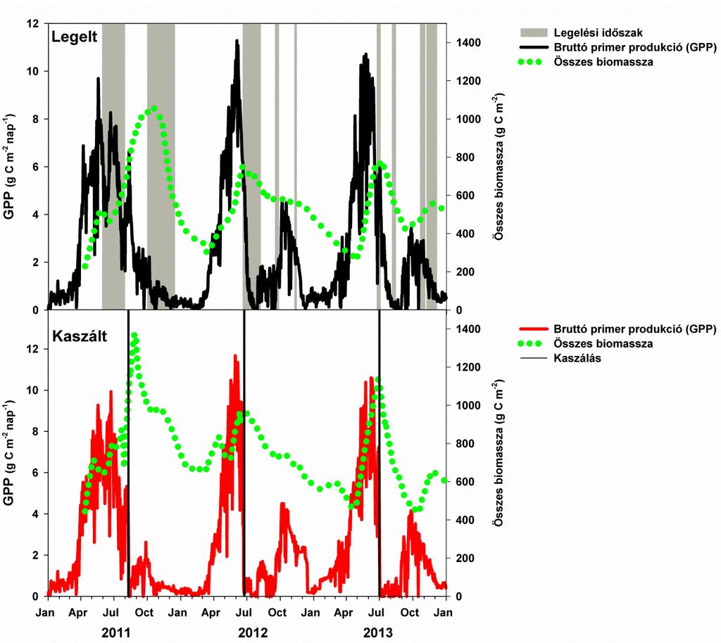 27. ábra: A bruttó primer produkció (GPP) és az összes (felszín feletti és a felszín alatti) biomassza éves dinamikája a legelt és a kaszált területen.