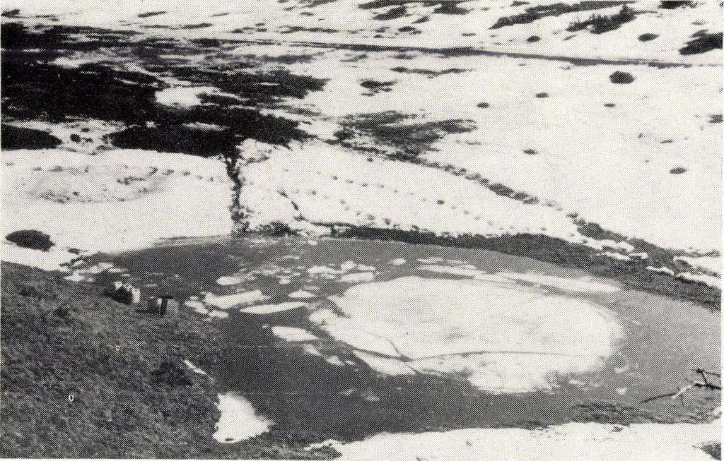 Feketesár-rét 2.