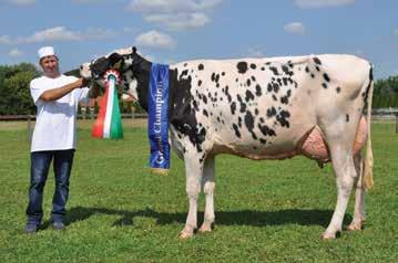 EGYESÜLETI ÉLET A Holstein-fríz Tenyésztők Egyesülete által